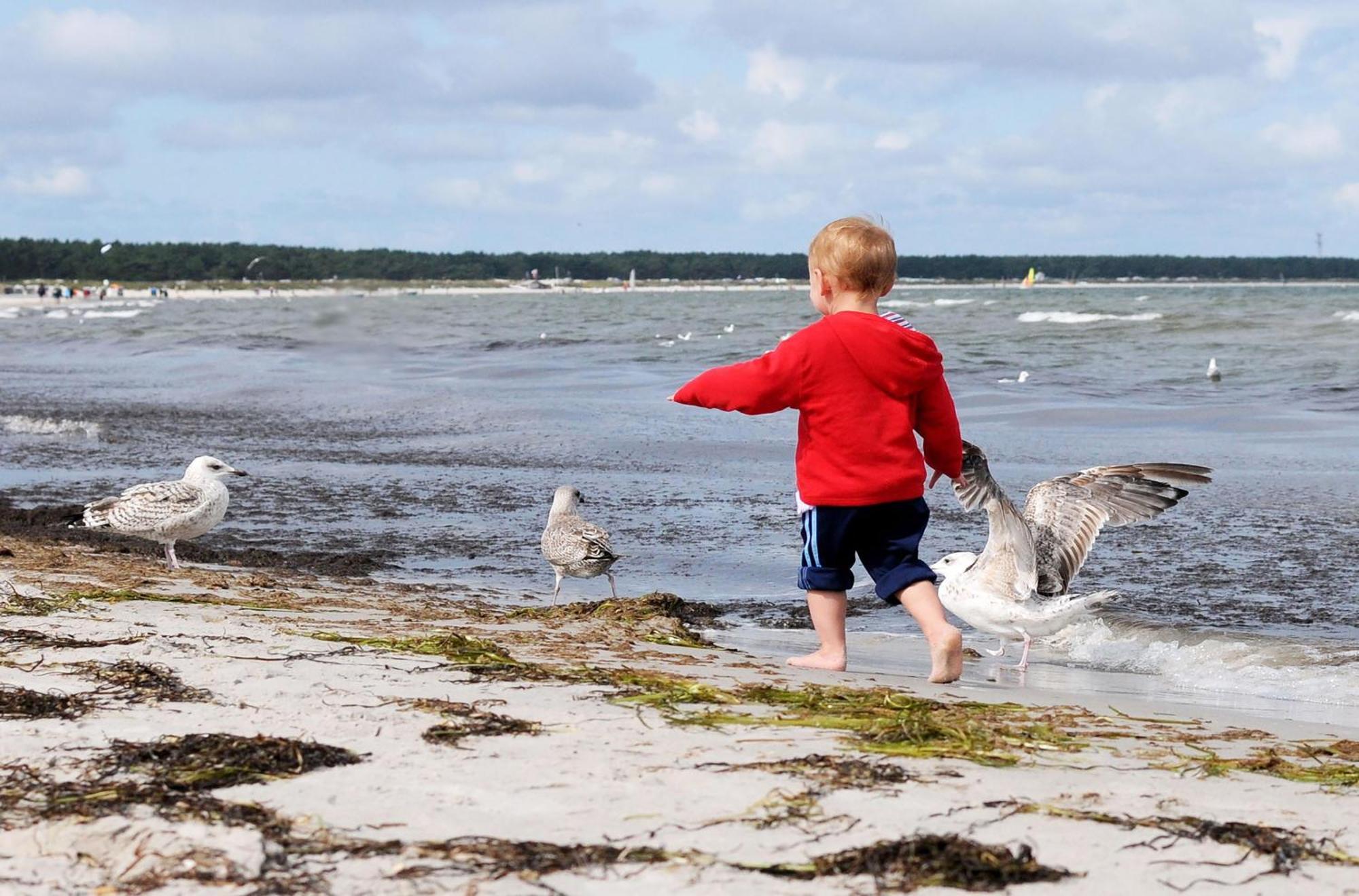 Leuchtturm An Der Seebruecke Zingst Exteriör bild