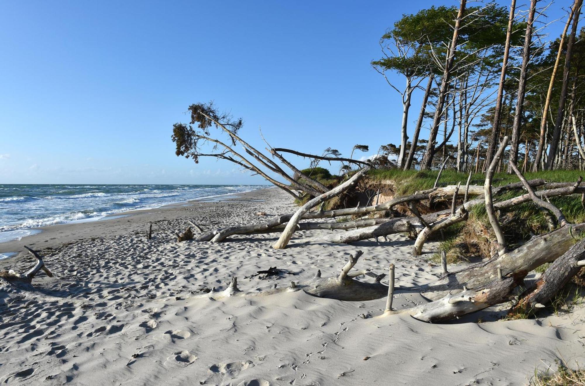 Leuchtturm An Der Seebruecke Zingst Exteriör bild